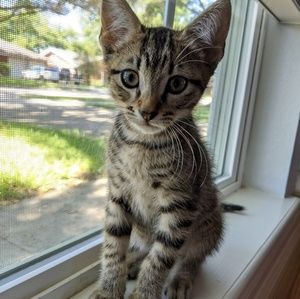 Meet your Posher, Theresa